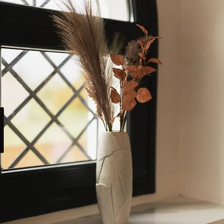 Vilă Erik & Aurora By 